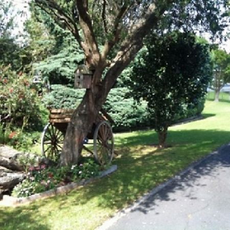 Dargaville Motel Exterior photo