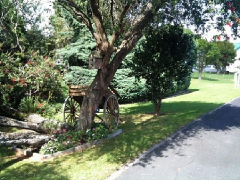 Dargaville Motel Exterior photo